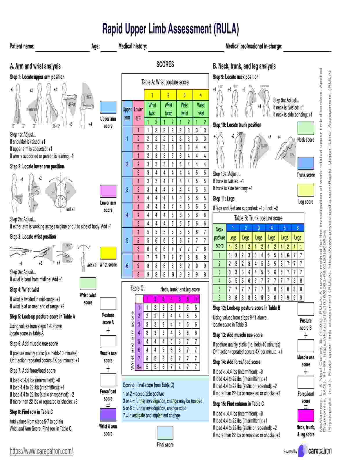 Rapid Upper Limb Assessment PDF Example