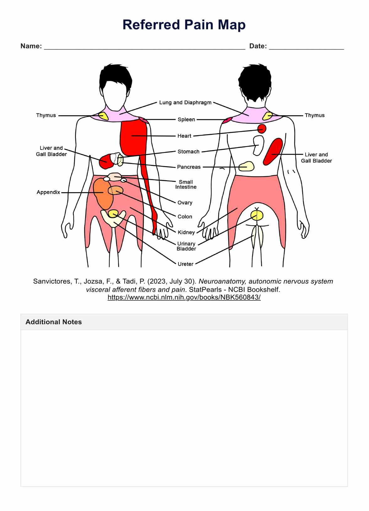 Referred Pain Maps PDF Example