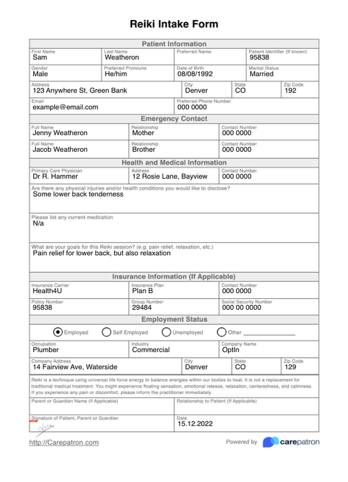 Reiki Intake Form PDF Example