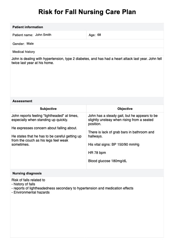 Plan de cuidado para personas con riesgo de caerse PDF Example