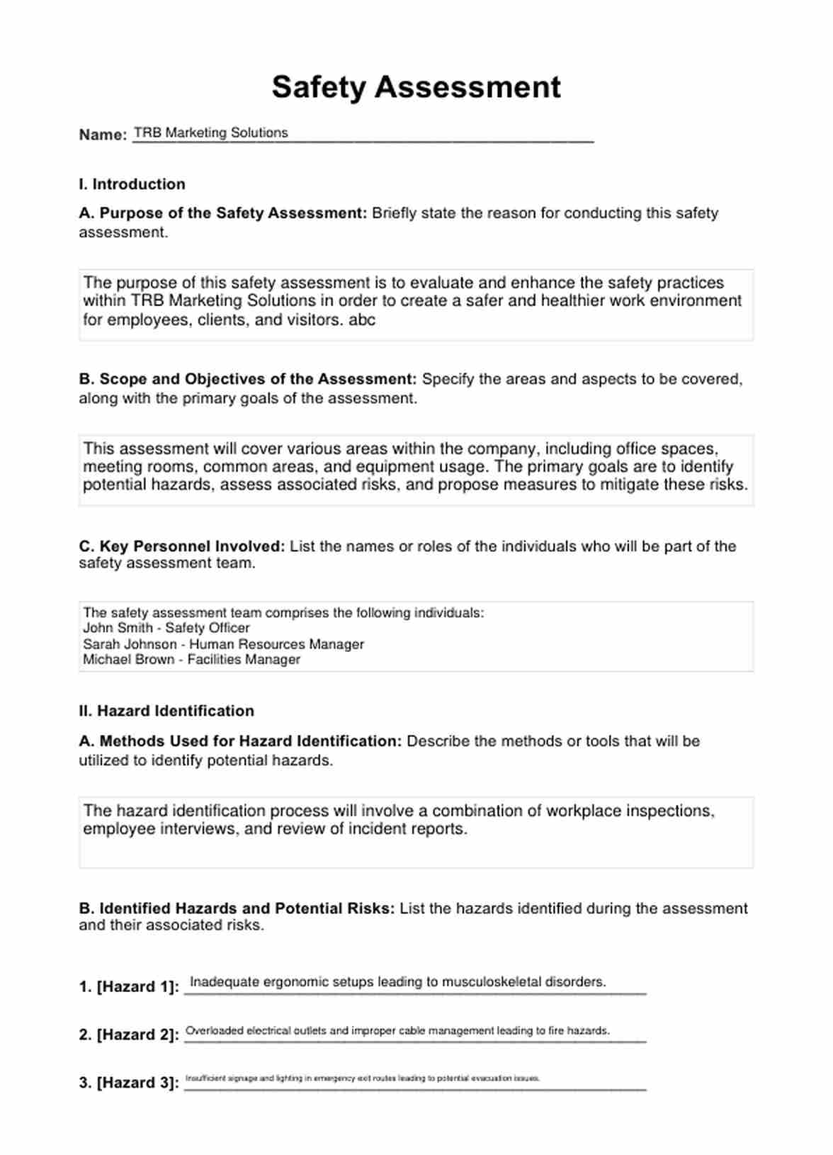 Safety Assessment PDF Example