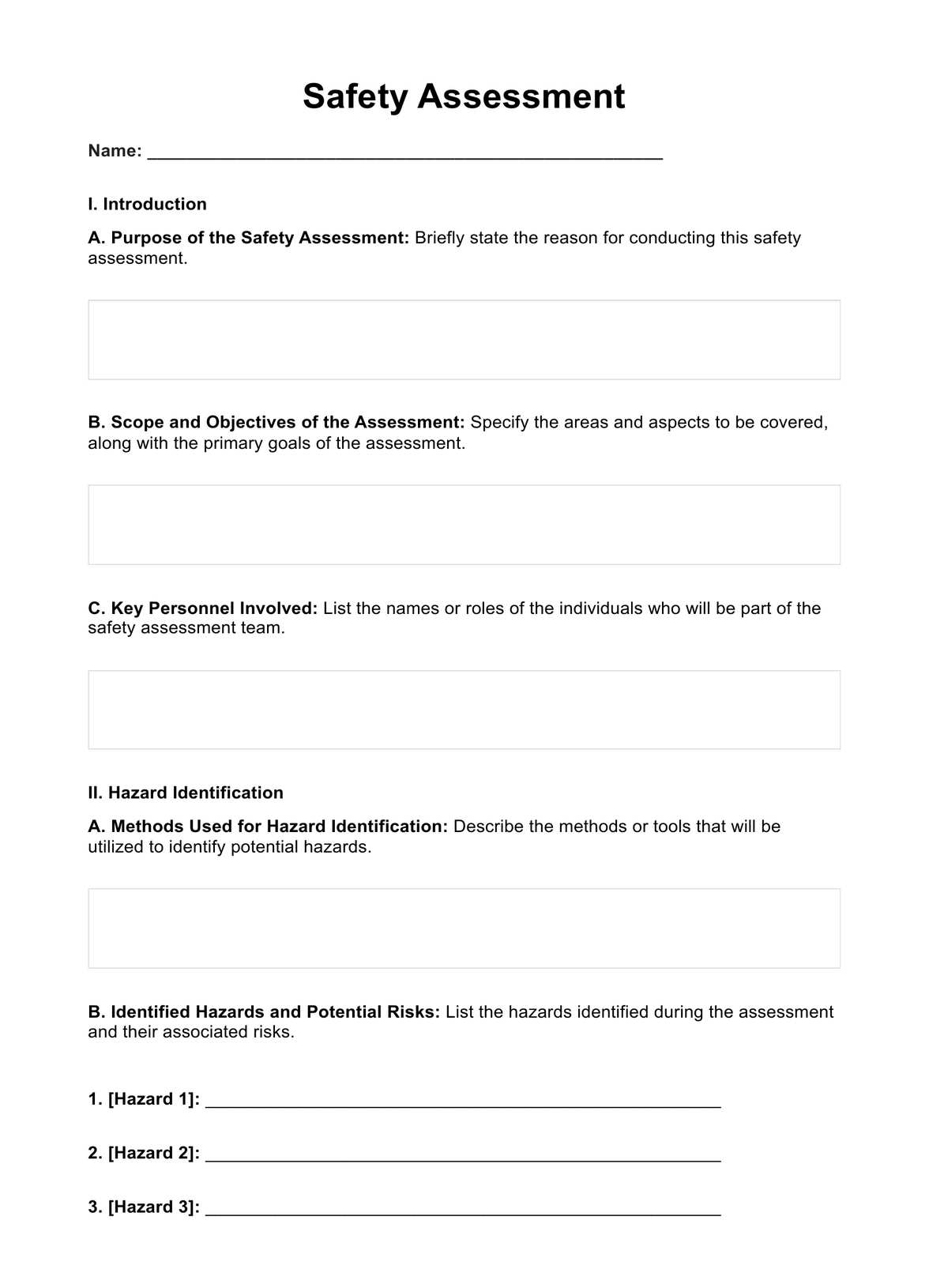 Safety Assessment PDF Example