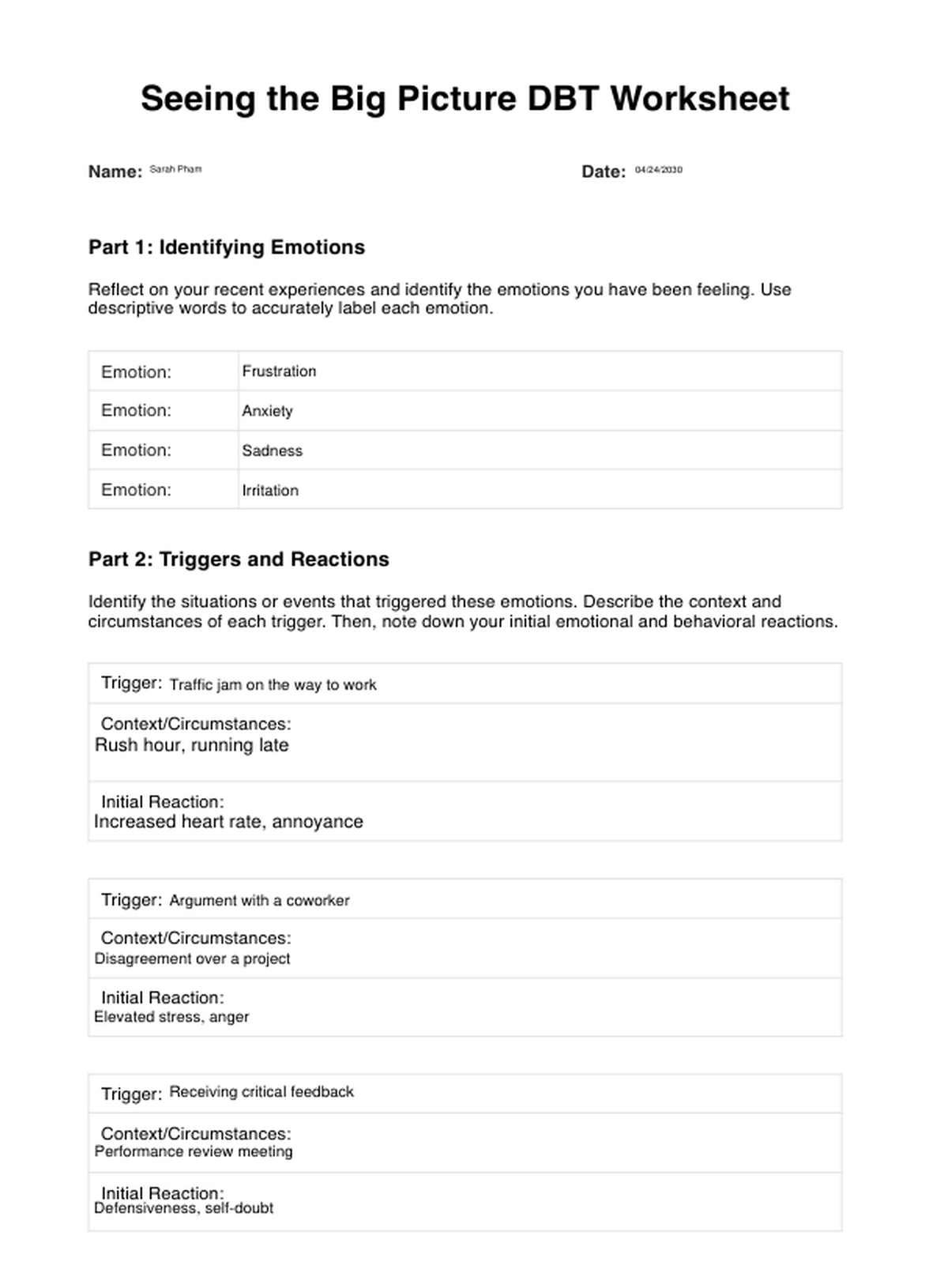 Seeing the Big Picture DBT Worksheet PDF Example