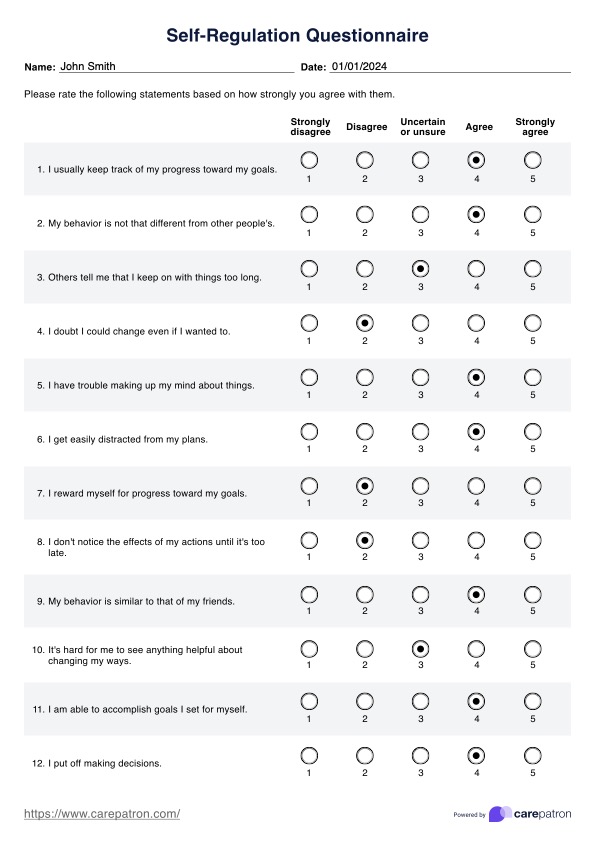 Self-Regulation Questionnaire PDF Example