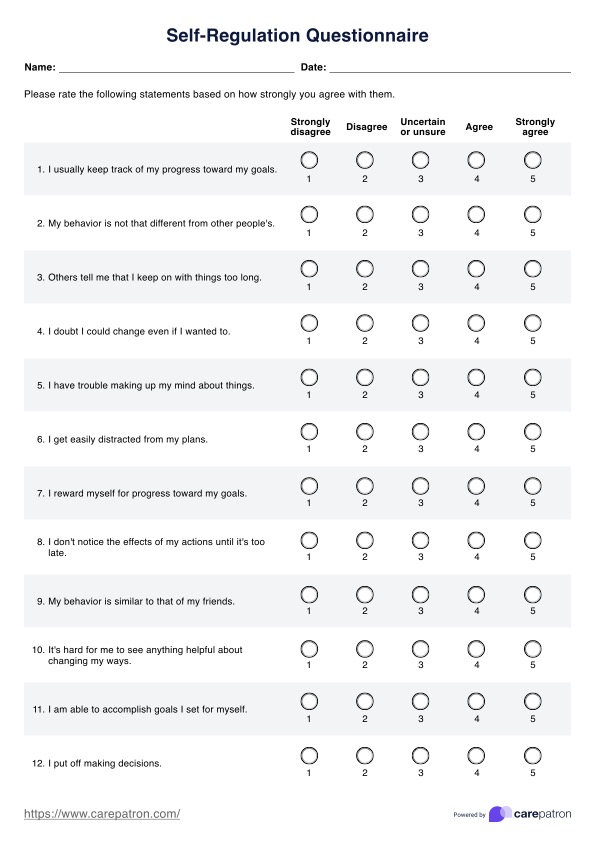 Self-Regulation Questionnaire PDF Example