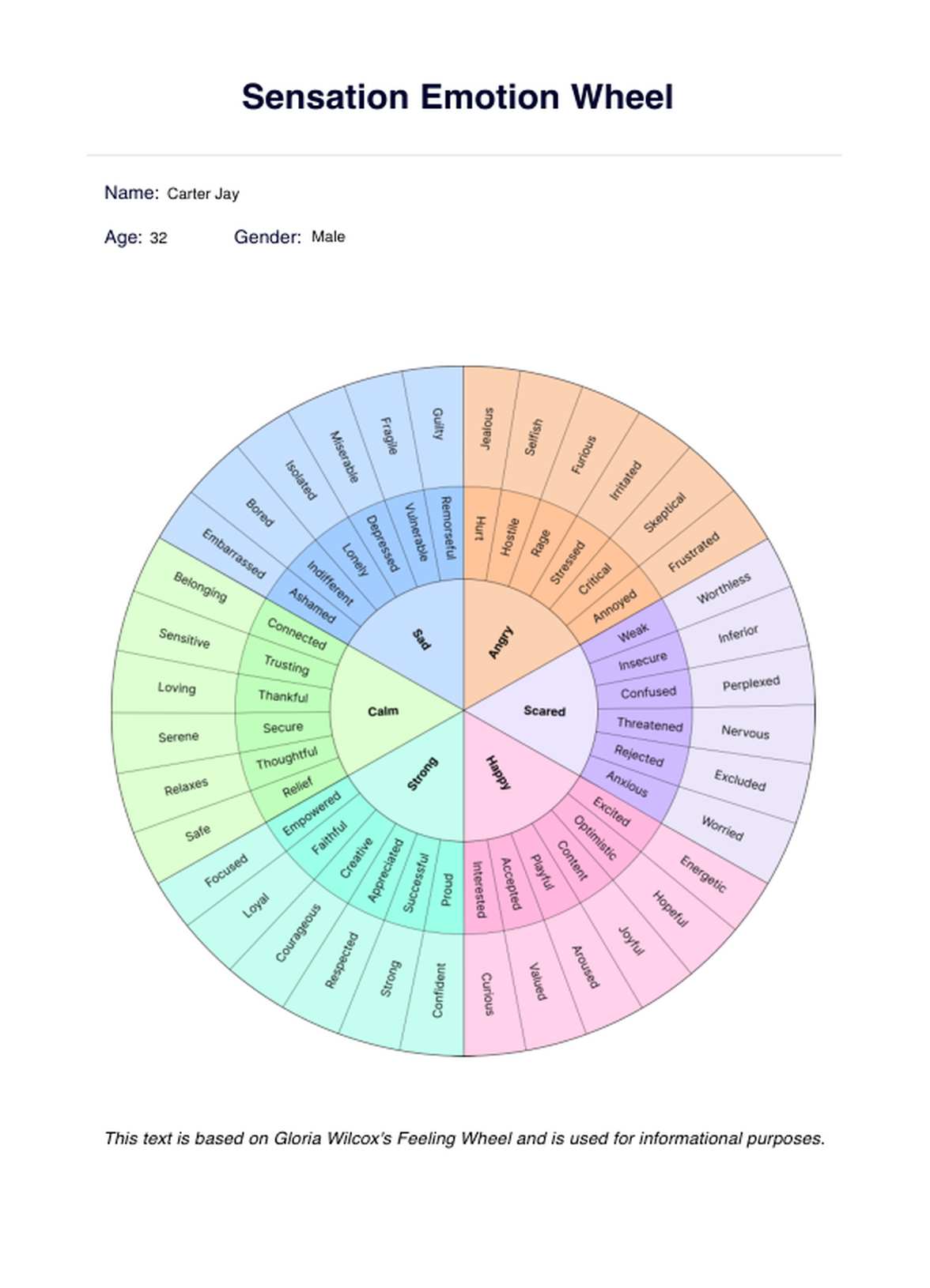 Sensation Emotion Wheel PDF Example
