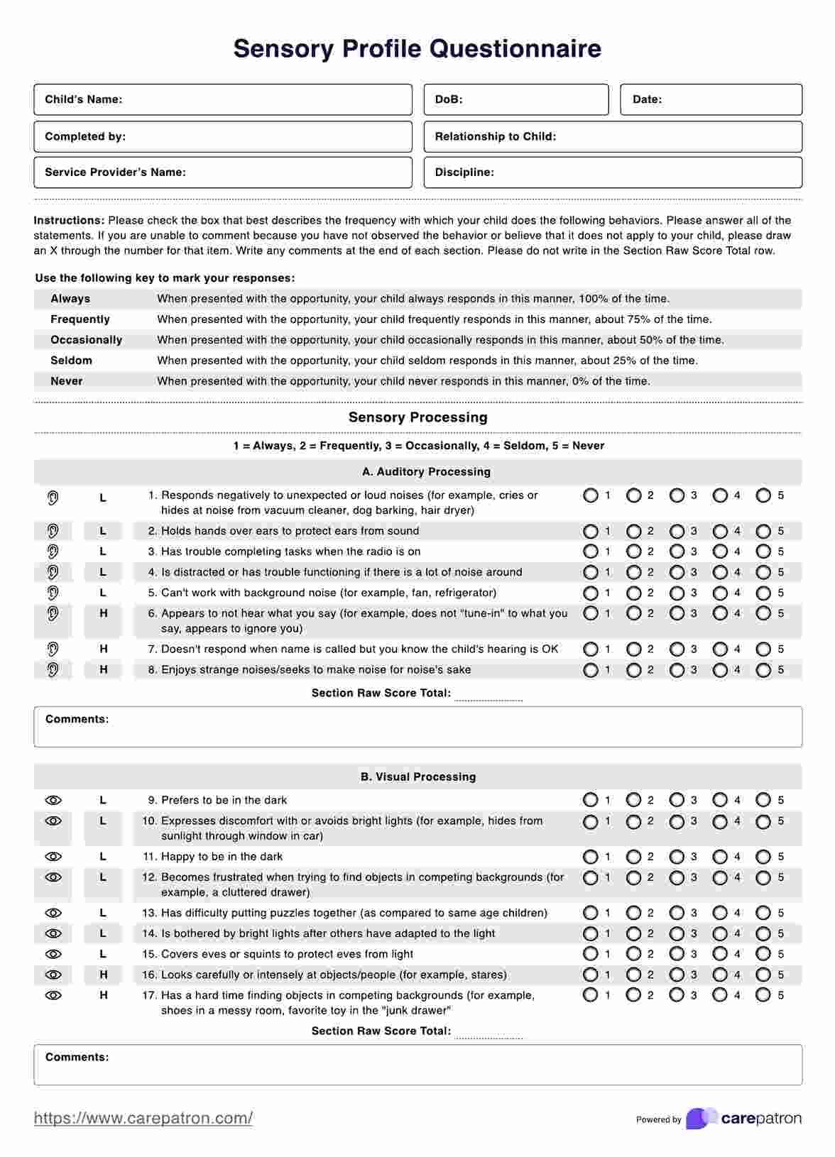 Sensory Profile Questionnaire PDF Example