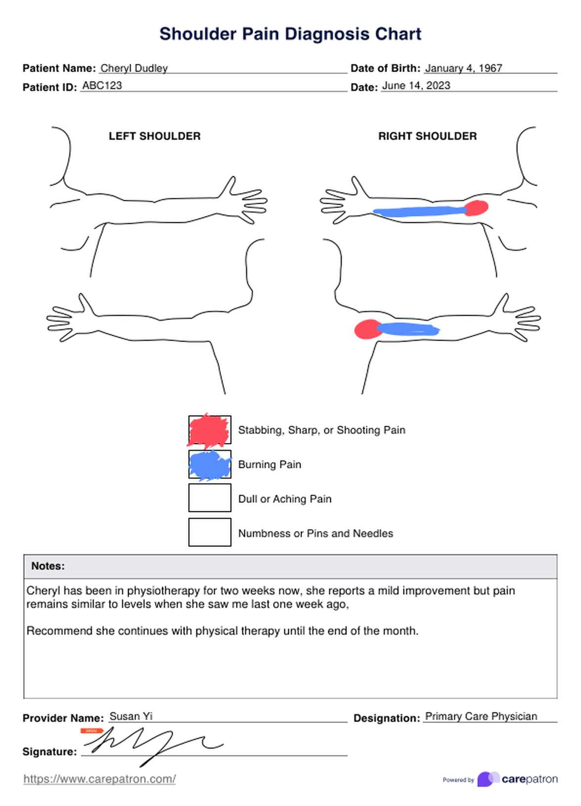 Gráfico de Dolor de hombro para el diagnóstico PDF Example