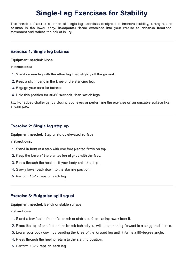 Single Leg Exercises for Stability Handout PDF Example