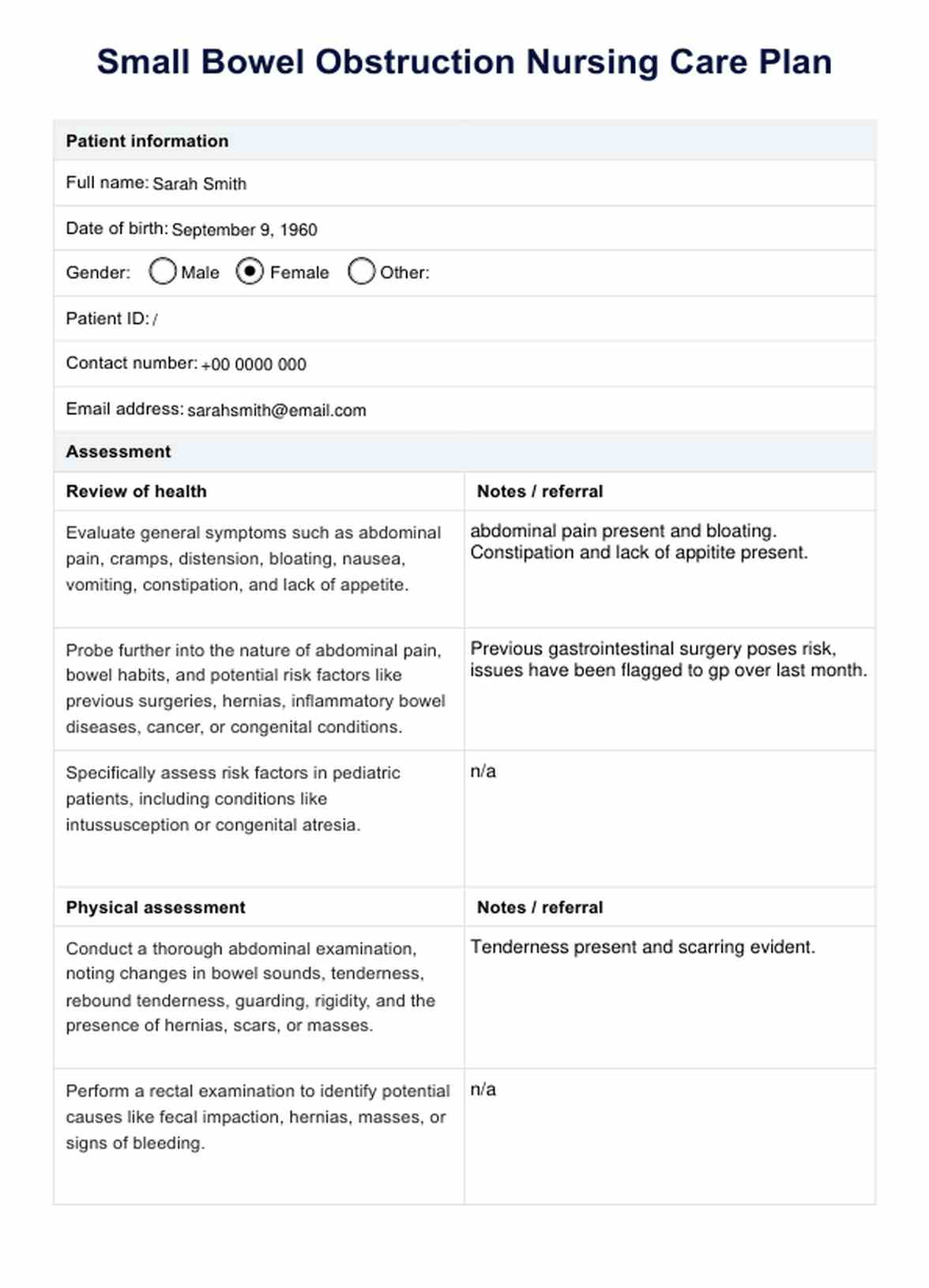 Small Bowel Obstruction Nursing Care Plan PDF Example