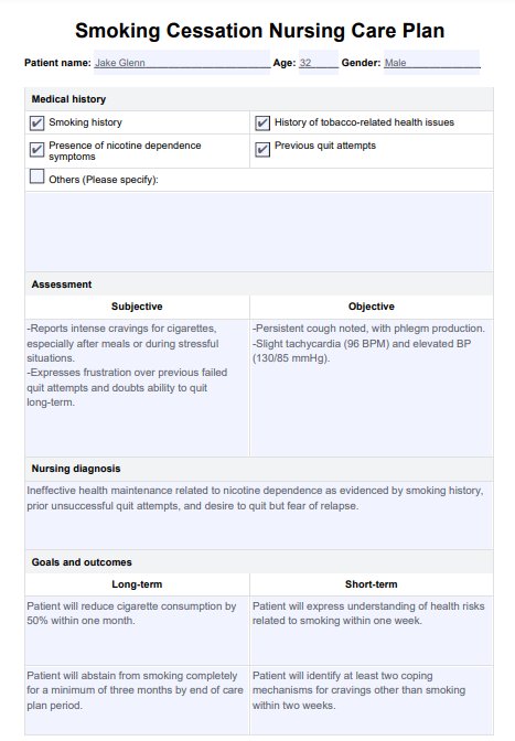 Smoking Cessation Nursing Care Plan PDF Example