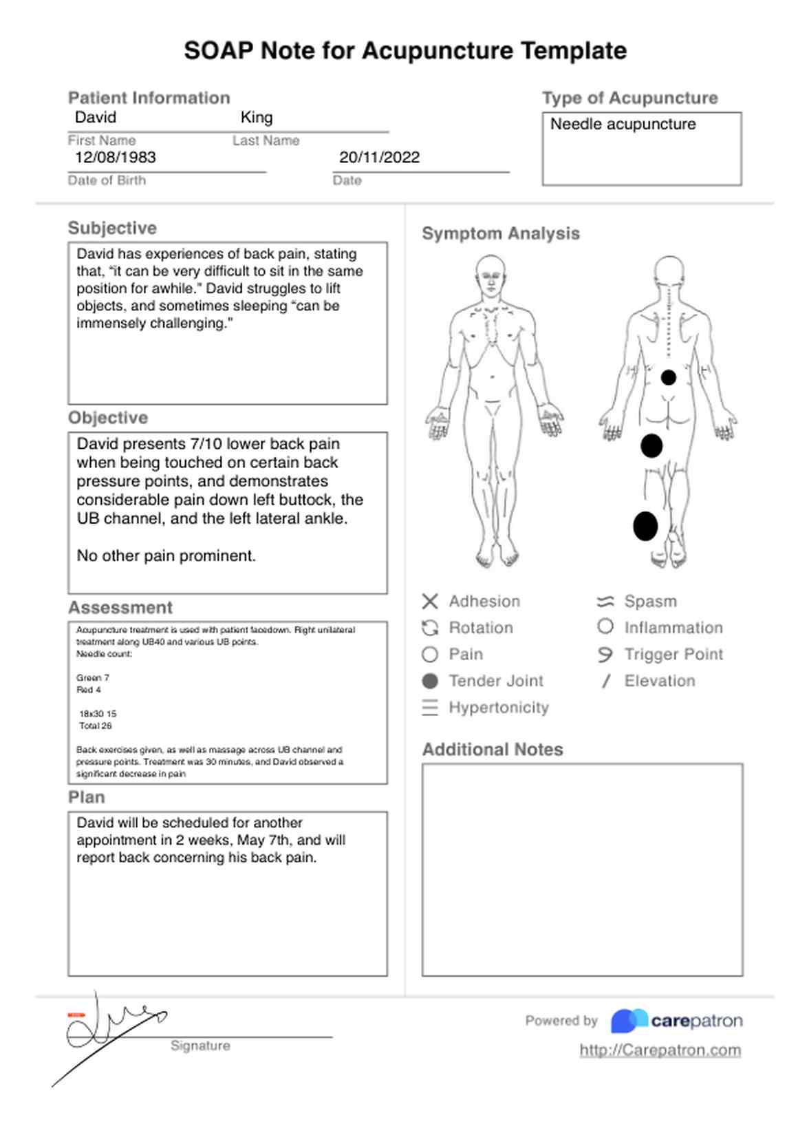 SOAP Notes For Acupuncture Template PDF Example