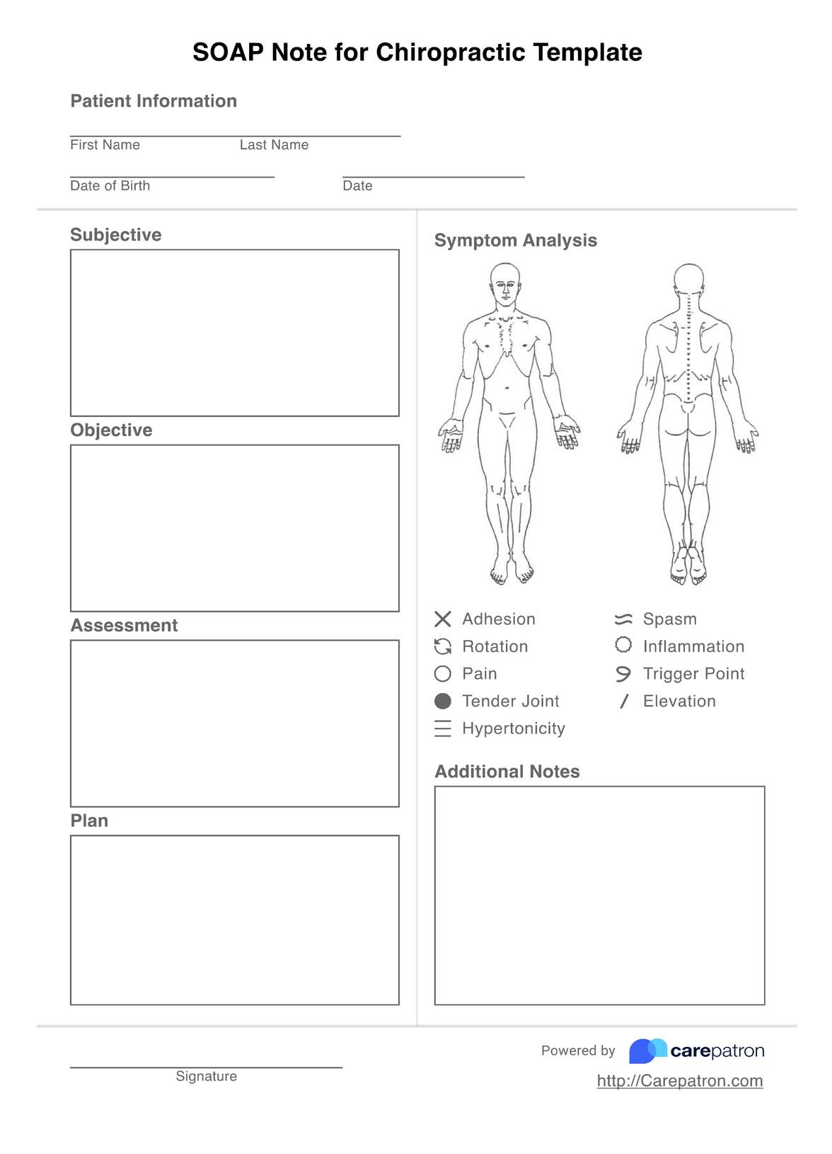 SOAP Notes for Chiropractic Template PDF Example