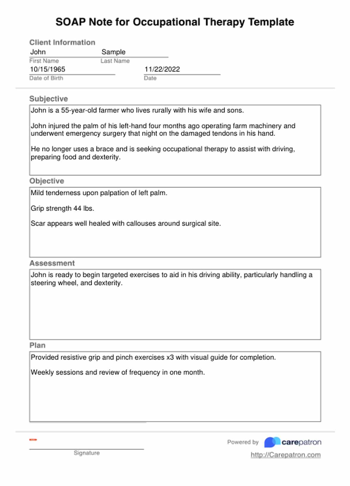 SOAP Notes For Occupational Therapy Template PDF Example