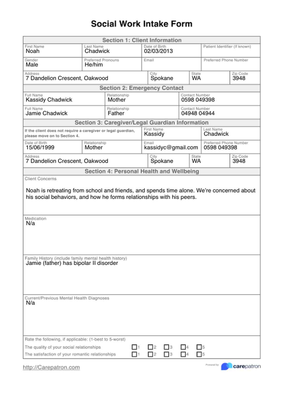Social Work Intake Form PDF Example