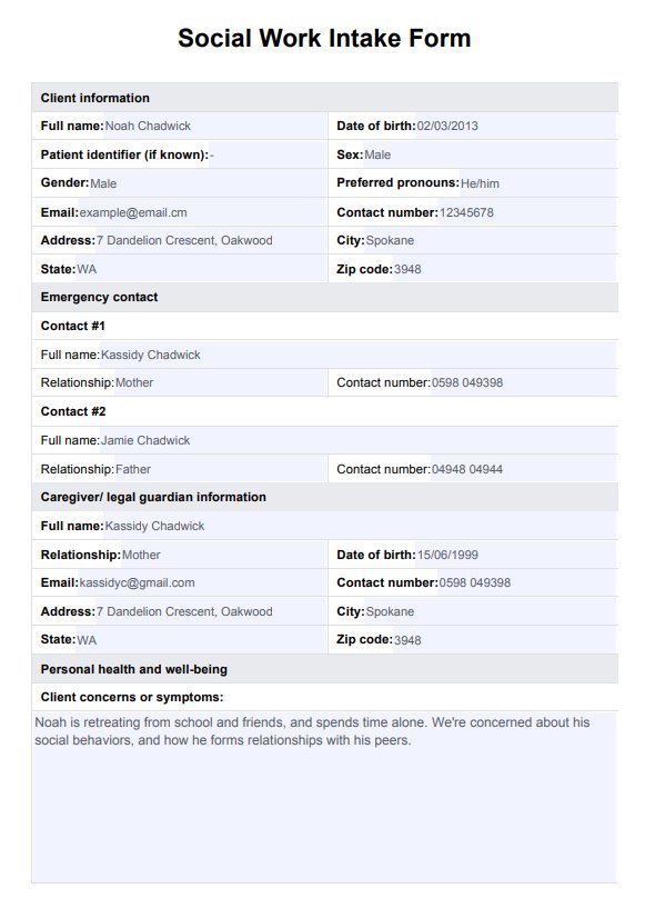 Social Work Intake Form PDF Example