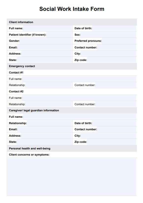 Social Work Intake Form PDF Example