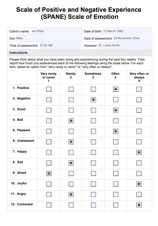 SPANE Scale of Emotion PDF Example