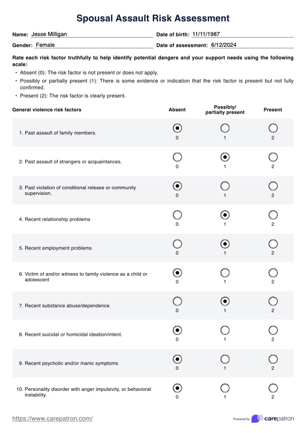 Spousal Assault Risk Assessment PDF Example