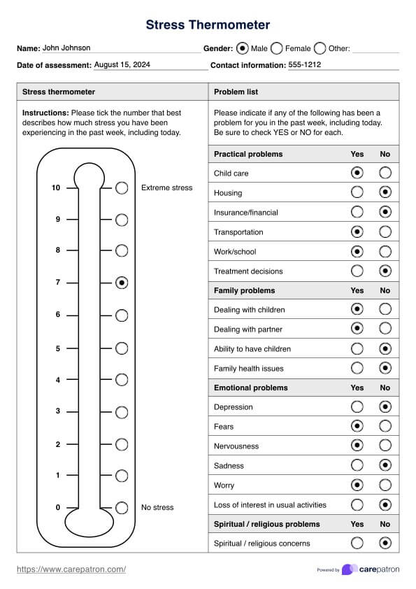 Stress Thermometer PDF Example