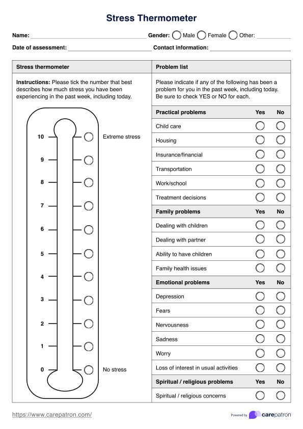 Stress Thermometer PDF Example