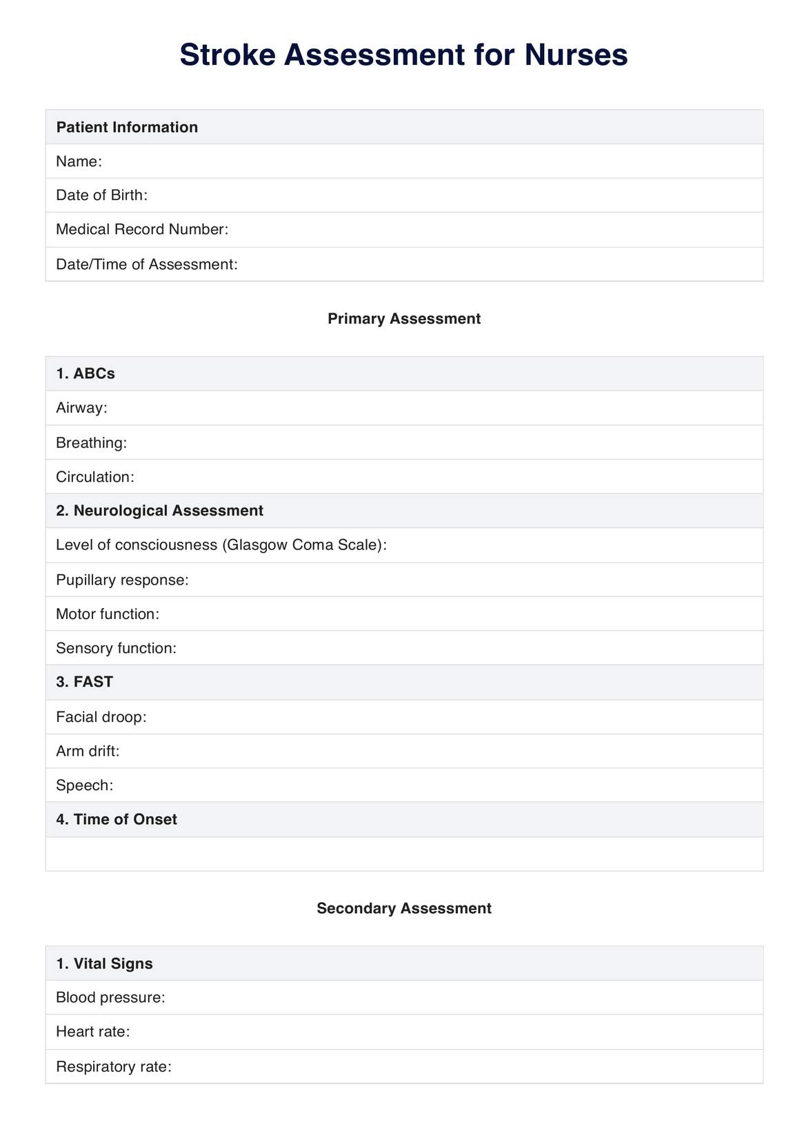 Stroke Assessment for Nurses PDF Example