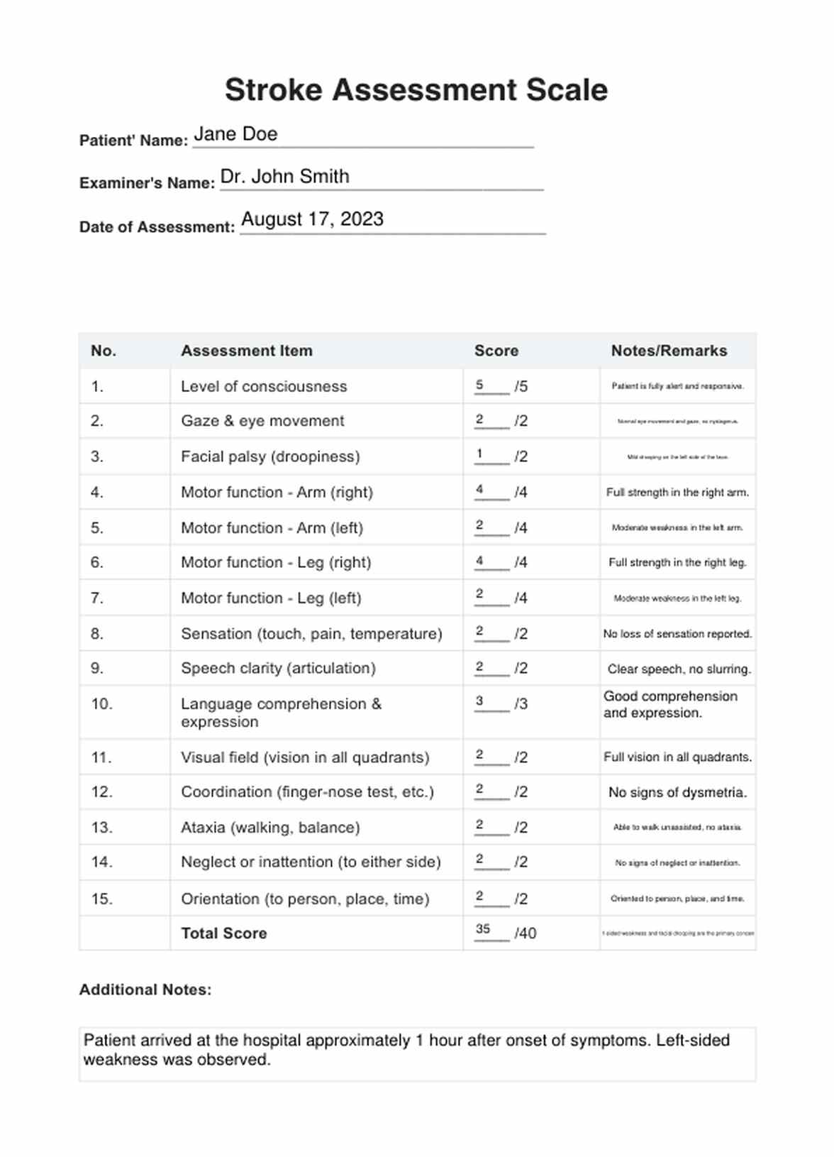 Escala de evaluación del ictus PDF Example