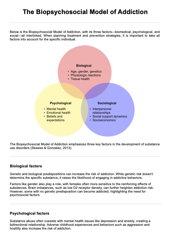 Biopsychosocial Model of Addiction PDF Example