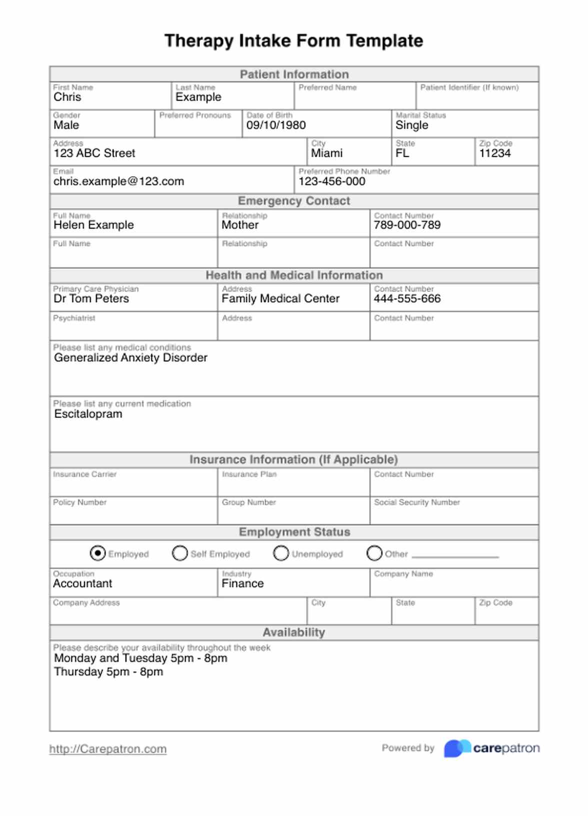 Therapy Intake Form PDF Example