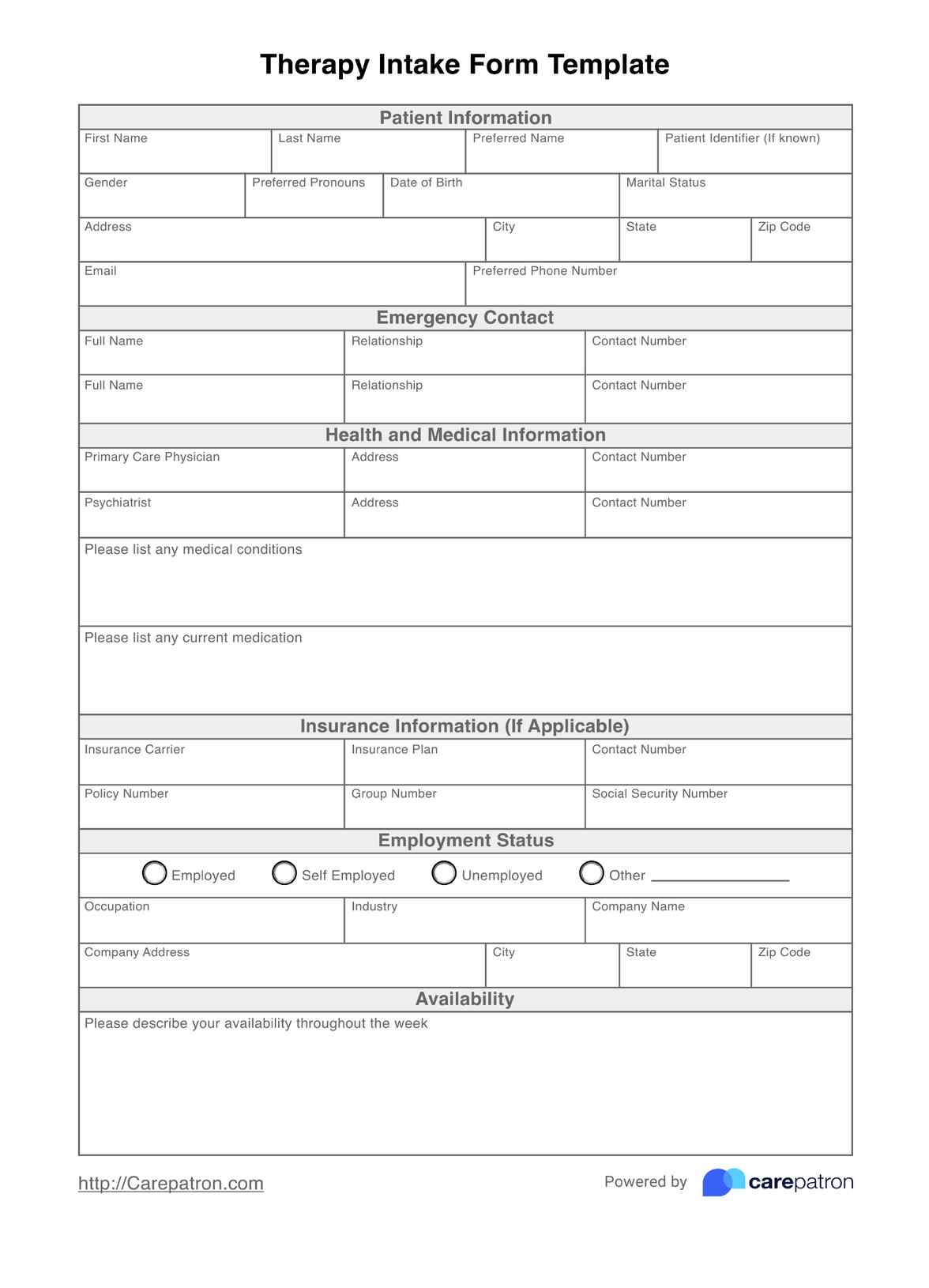 Therapy Intake Form PDF Example