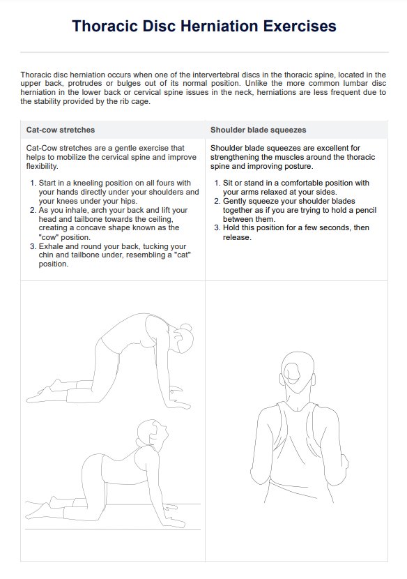 Thoracic Disc Herniation Exercises PDF Example