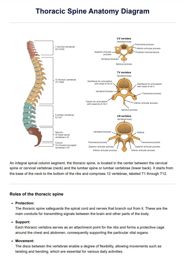 Beers Criteria & Example | Free PDF Download