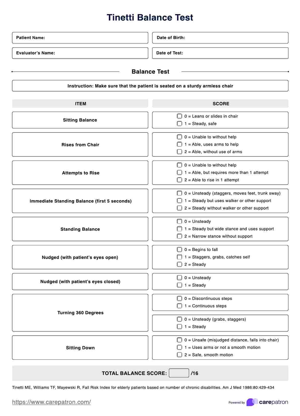 Tinetti Balance Test PDF Example