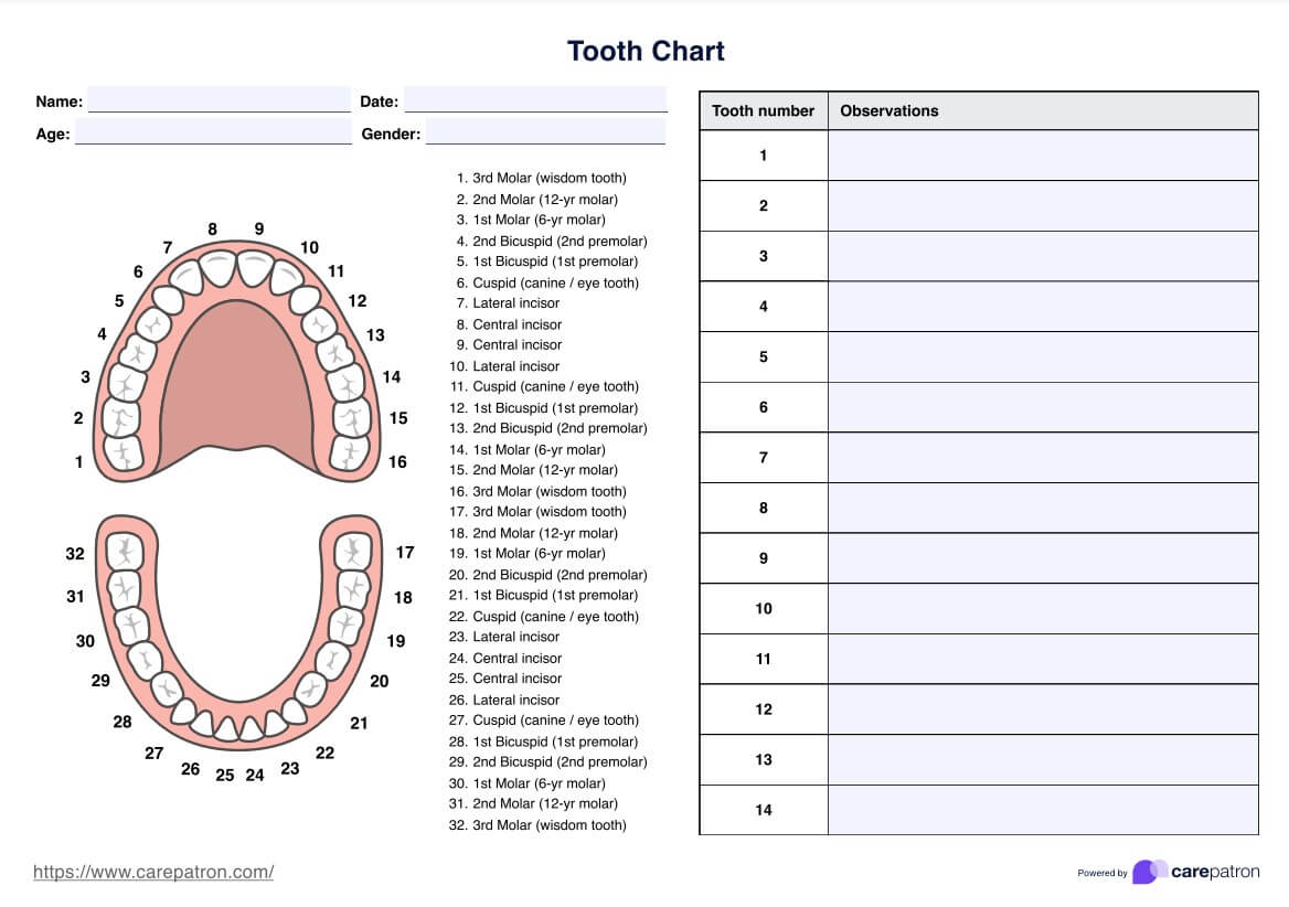 Tooth Charts PDF Example