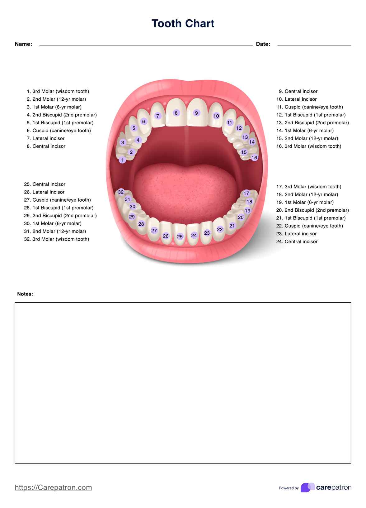 Tooth Charts PDF Example