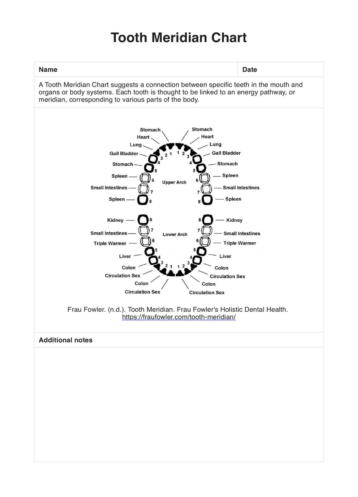 Tooth Meridian Charts PDF Example