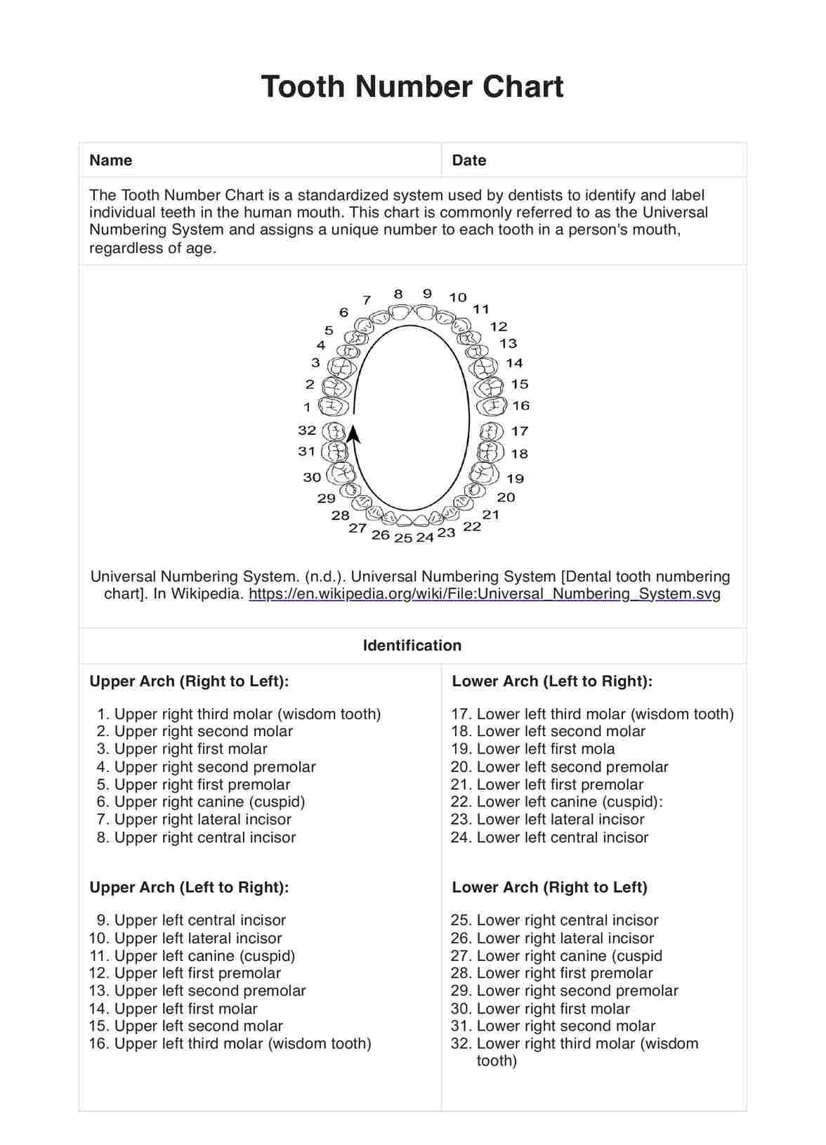 Tooth Number Charts PDF Example