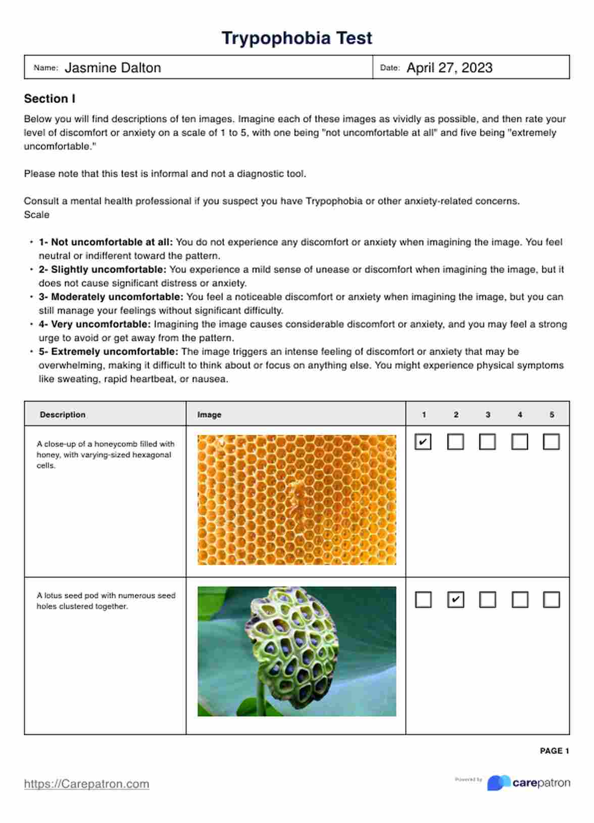 Trypophobia Test PDF Example