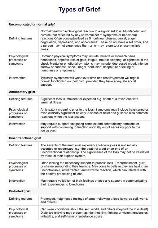 Types of Grief Handout PDF Example