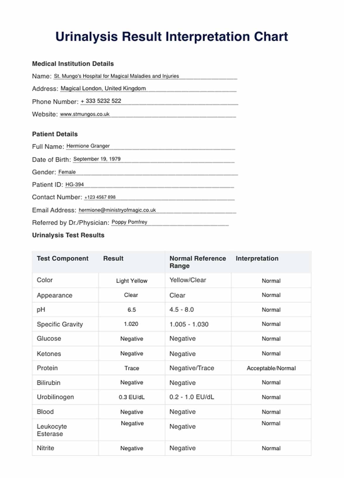 Urinalysis Result Interpretation PDF Example
