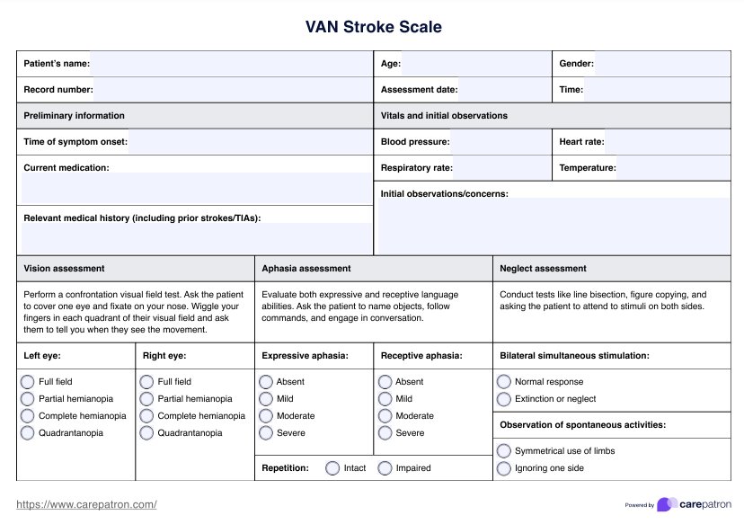 VAN Stroke Scale PDF Example