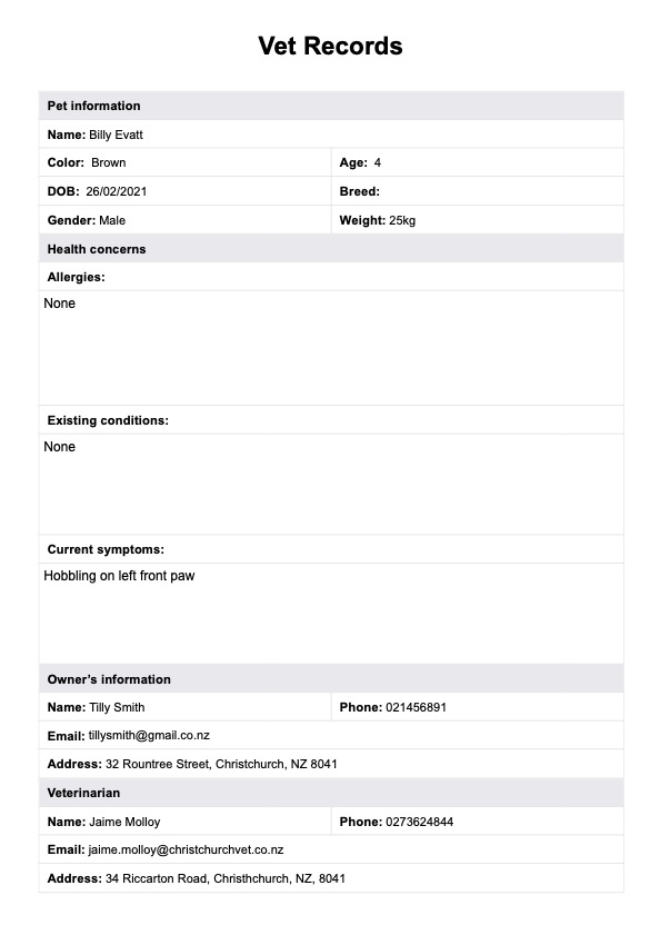 Vet Records Template  PDF Example