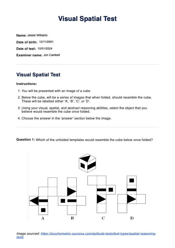 Visual Spatial Test PDF Example