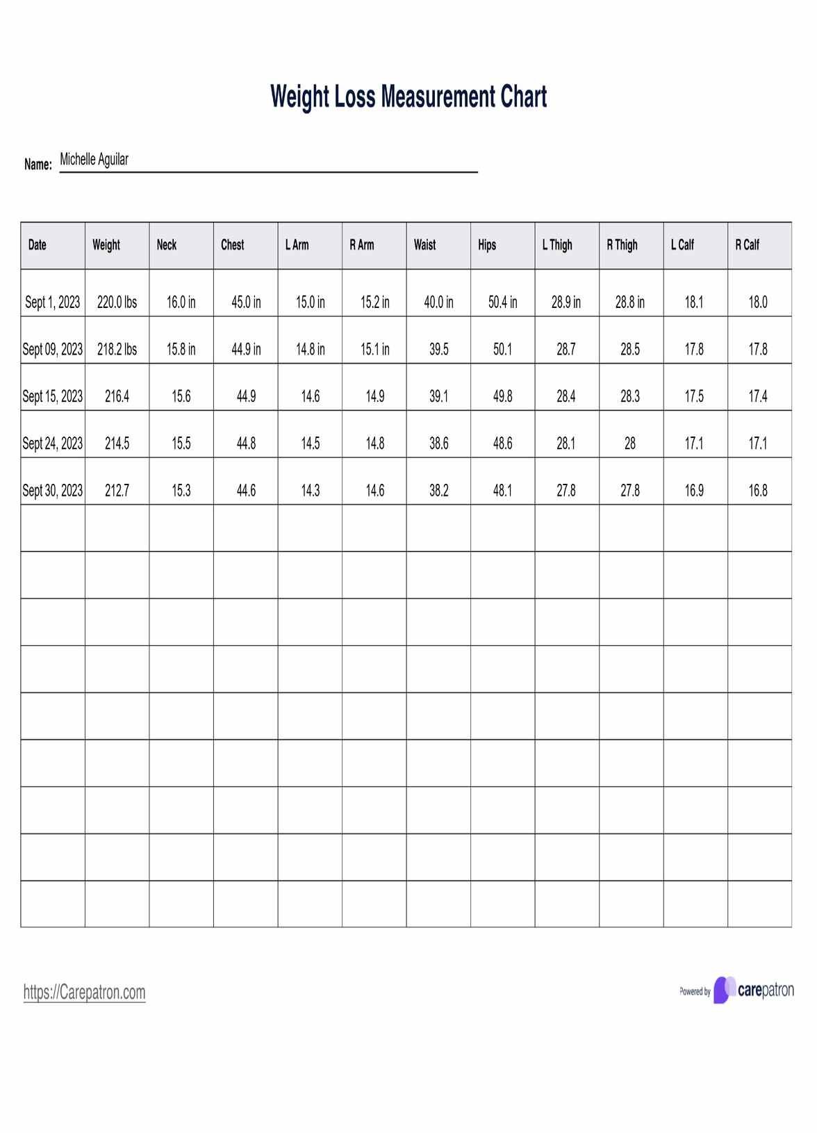 Weight Loss Measurement Chart PDF Example