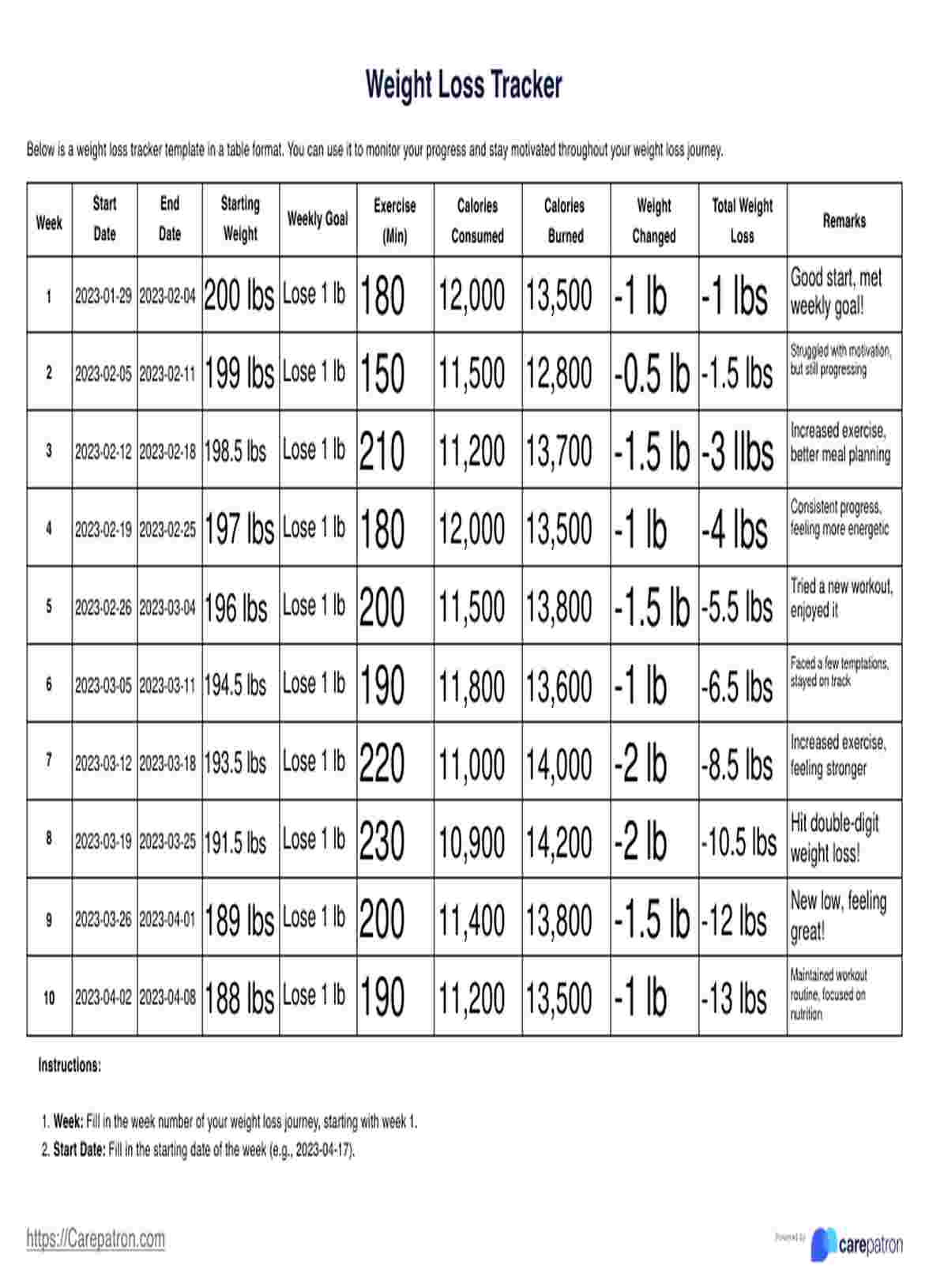 Hoja de Monitoreo de Pérdida de peso PDF Example