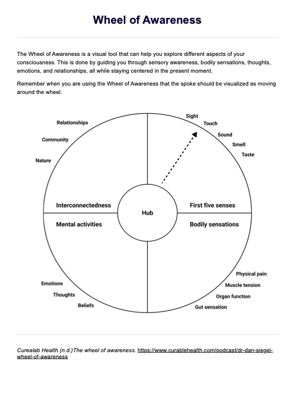 Wheel of Awareness PDF Example