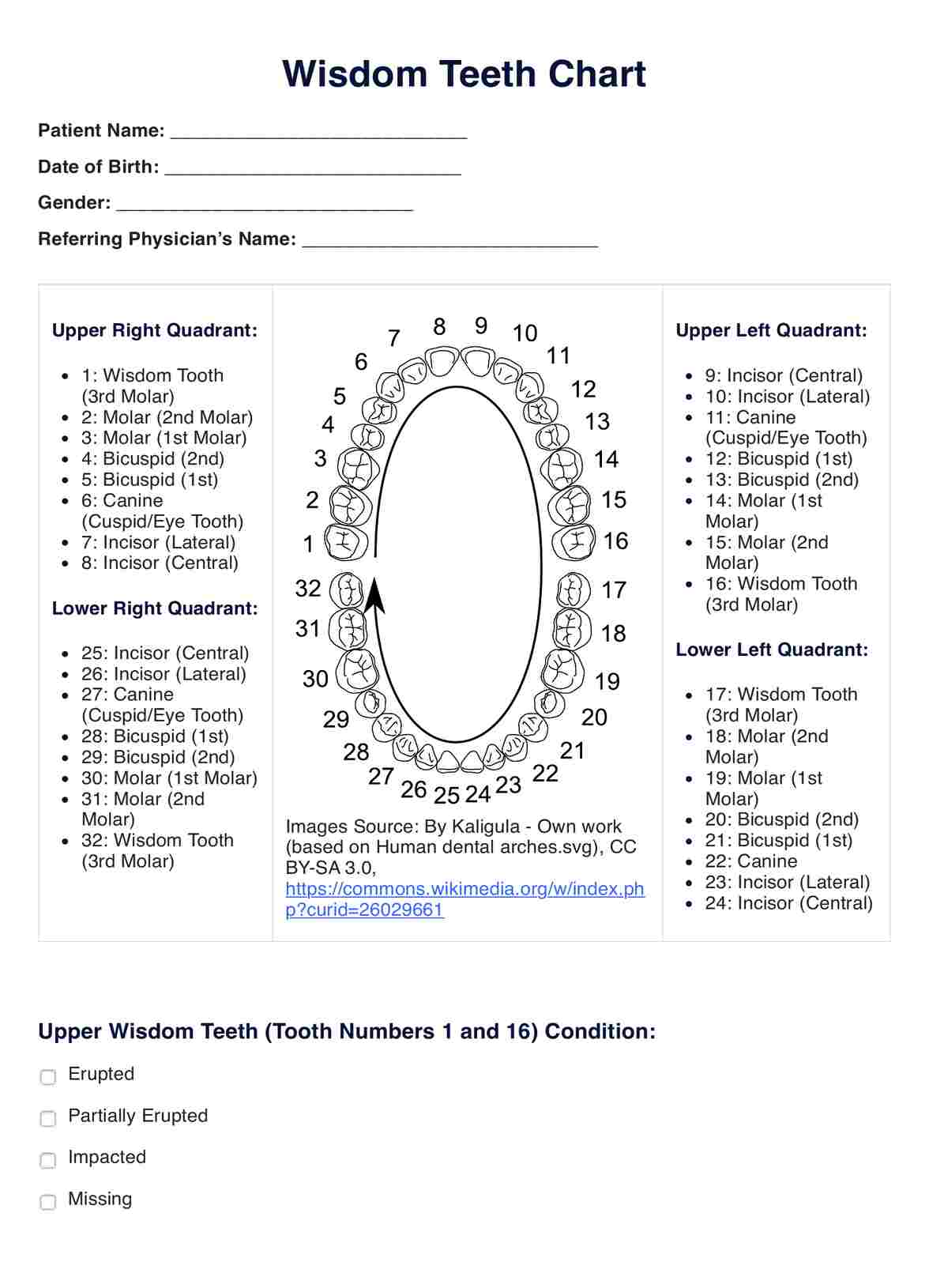 Wisdom Teeth Chart PDF Example